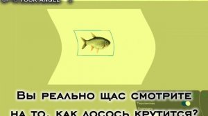 Вы сейчас серьёзно?🤨