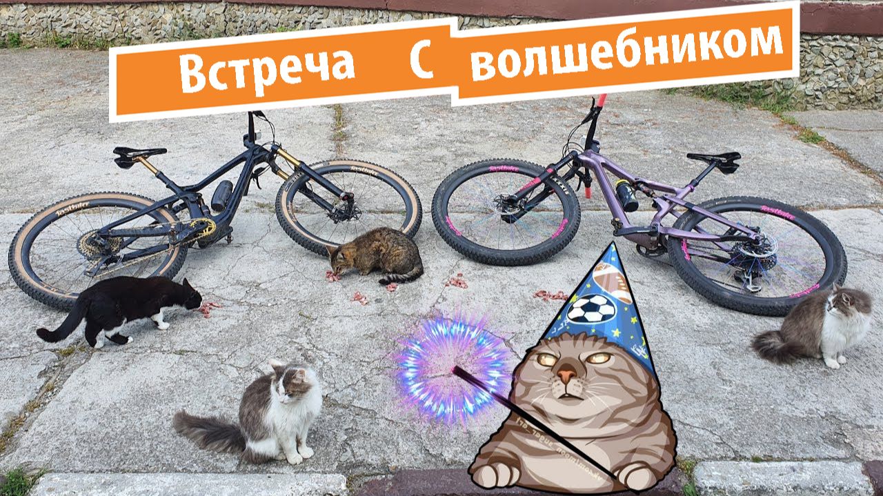 Неожиданная встреча с волшебником