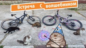 Неожиданная встреча с волшебником