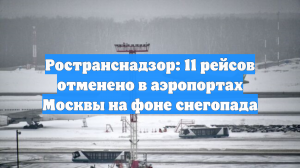Ространснадзор: 11 рейсов отменено в аэропортах Москвы на фоне снегопада