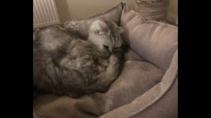 🔥Эдит для Sogropix🔥