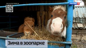 Несколько месяцев ушло на подготовку зоопарков Республики к зиме