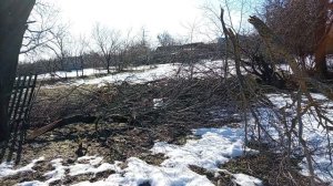 Мама во снах ! Иду из магазина ! Юг России! 🎄🍊🍰☕