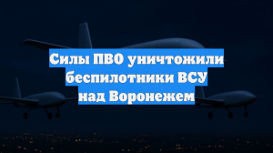 Силы ПВО уничтожили беспилотники ВСУ над Воронежем