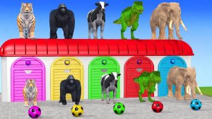 Веселые игры с слоном, гориллой, бегемотом, тигром - 3D игра с животными - Забавные 3D животные