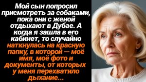 Жизненные Истории/Мой сын попросил присмотреть за собаками, пока они с женой отдыхают в Дубае. А ког