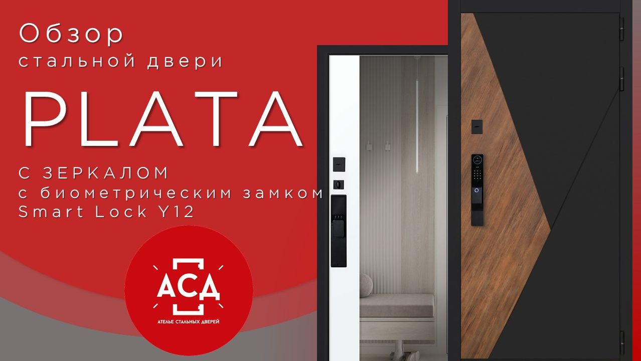 Стальная дверь Plata с зеркалом c биометрическим замком Smart lock Y12 смотреть онлайн
