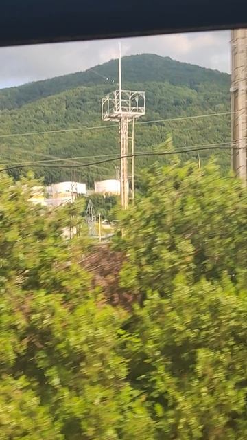 1000005530.mp4 смотреть онлайн