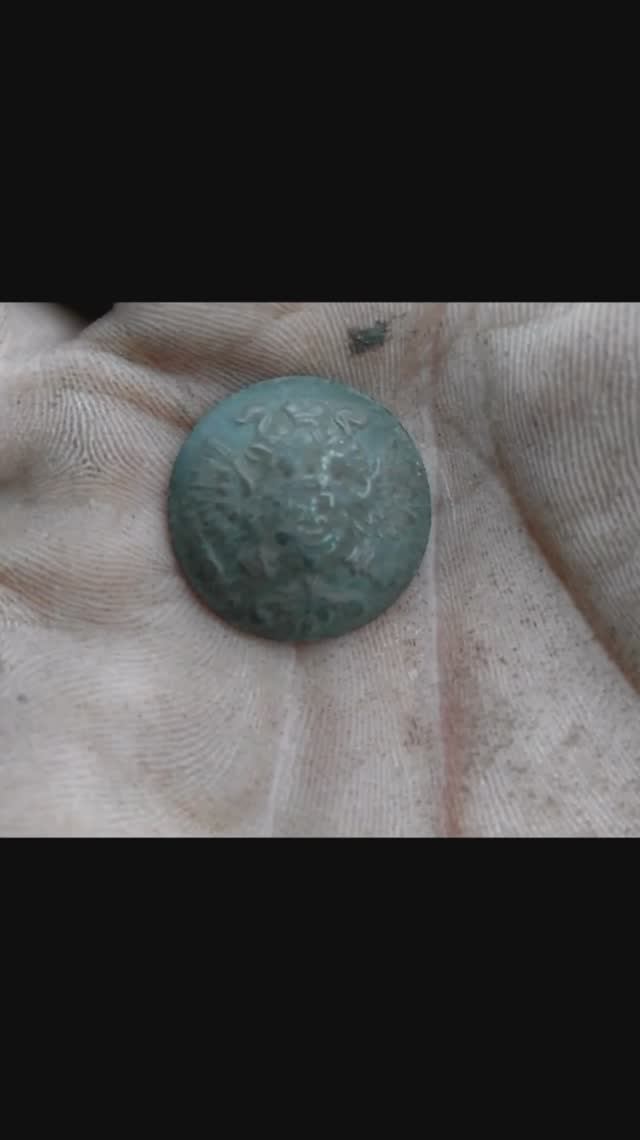 Царская медная пуговица с двуглавым орлом. Поиск монет на покосе смотреть онлайн
