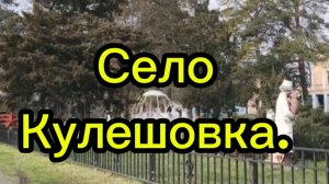 10-01-2026 Обзор.Село Кулешовка.