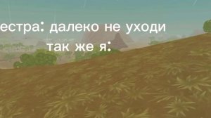 А у вас есть сестра?