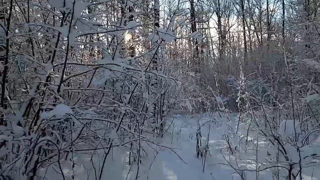 Городская роща Ефремов смотреть онлайн