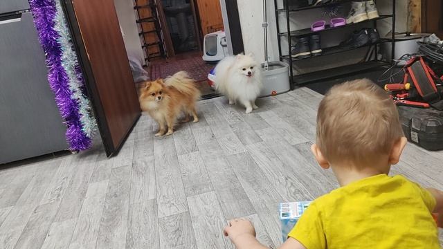 Подарочки от тёти Оли🤗 смотреть онлайн