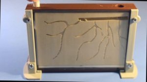 Термикарий из 3D. Обзор. Внешний вид