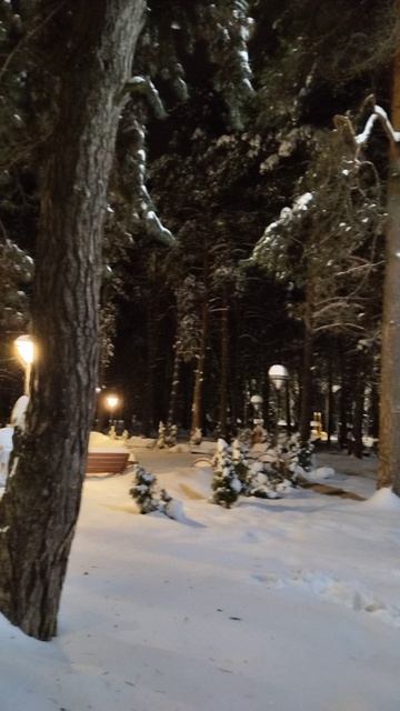 PXL_20260110_071024530