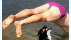 Забавные Моменты с Животными