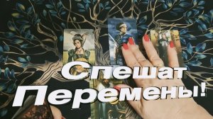 ТАРО РАСКЛАД☘️❤️ КТО ПРИНЕСЕТ БОЛЬШИЕ ПЕРЕМЕНЫ