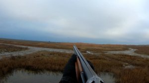 А УТКИ УЖЕ ЛЕТЯТ ВЫСОКО, Я ИМ ПОМАШУ РУКОЙ.. 2026