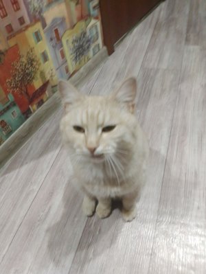 говорю про эндеграу