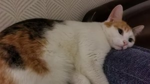 почему все такие злые?