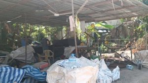 Остров Камаду, Мальдивы, январь 2026 (Kamadhoo, Maldives, January 2026)