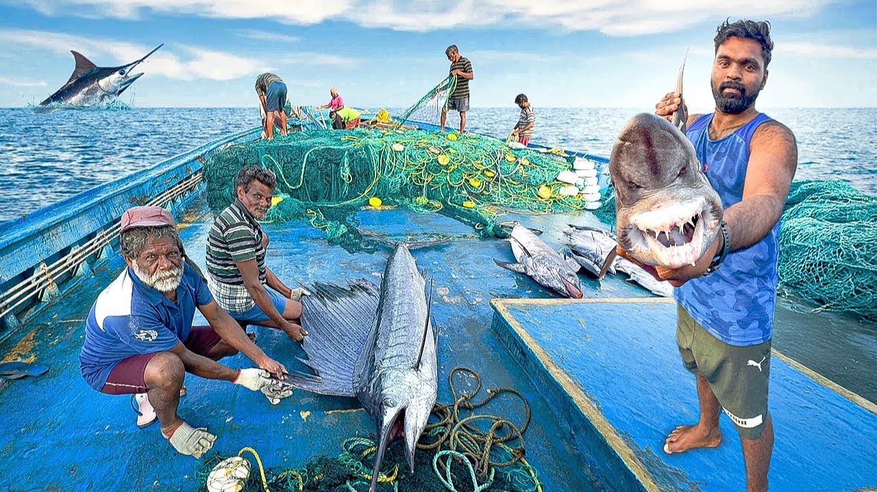 Шестой день мы провели в открытом море и поймали много тунцов , и другой рыбы , и не только рыбы ! смотреть онлайн