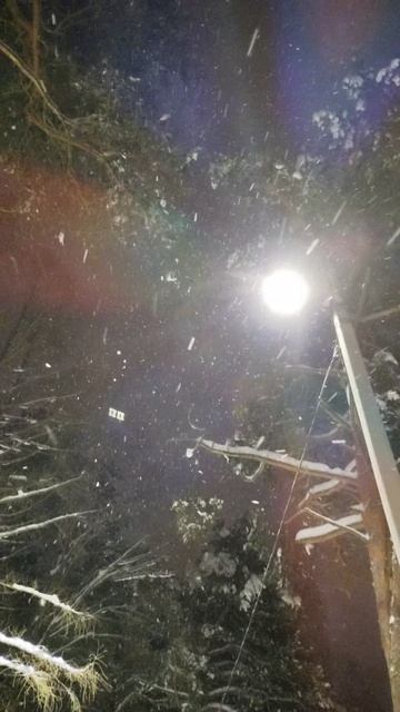 PXL_20260110_070329794