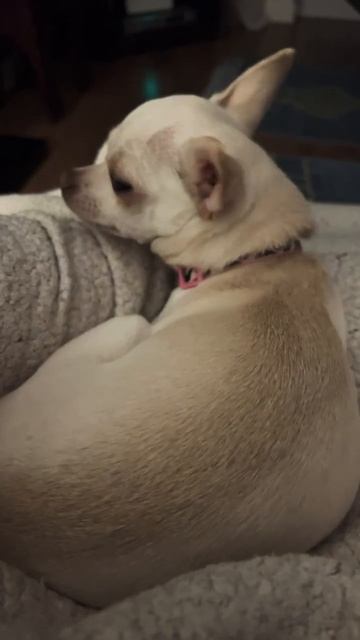 Везунчик смотреть онлайн