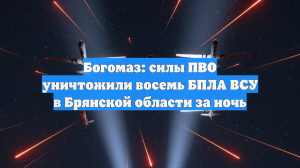 Богомаз: силы ПВО уничтожили восемь БПЛА ВСУ в Брянской области за ночь