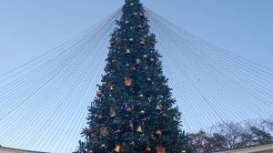 Курортный бульвар,ёлка на месте цветомузыкального фонтана,Кисловодск Новый 2026 год