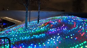 Прогулки по Москве. Новогоднее Зарядье. Отменили шоу Матрешки