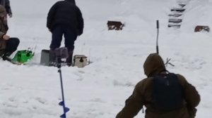 Зарыбление водоёма, поимки форели на активные и пассивные снасти.
