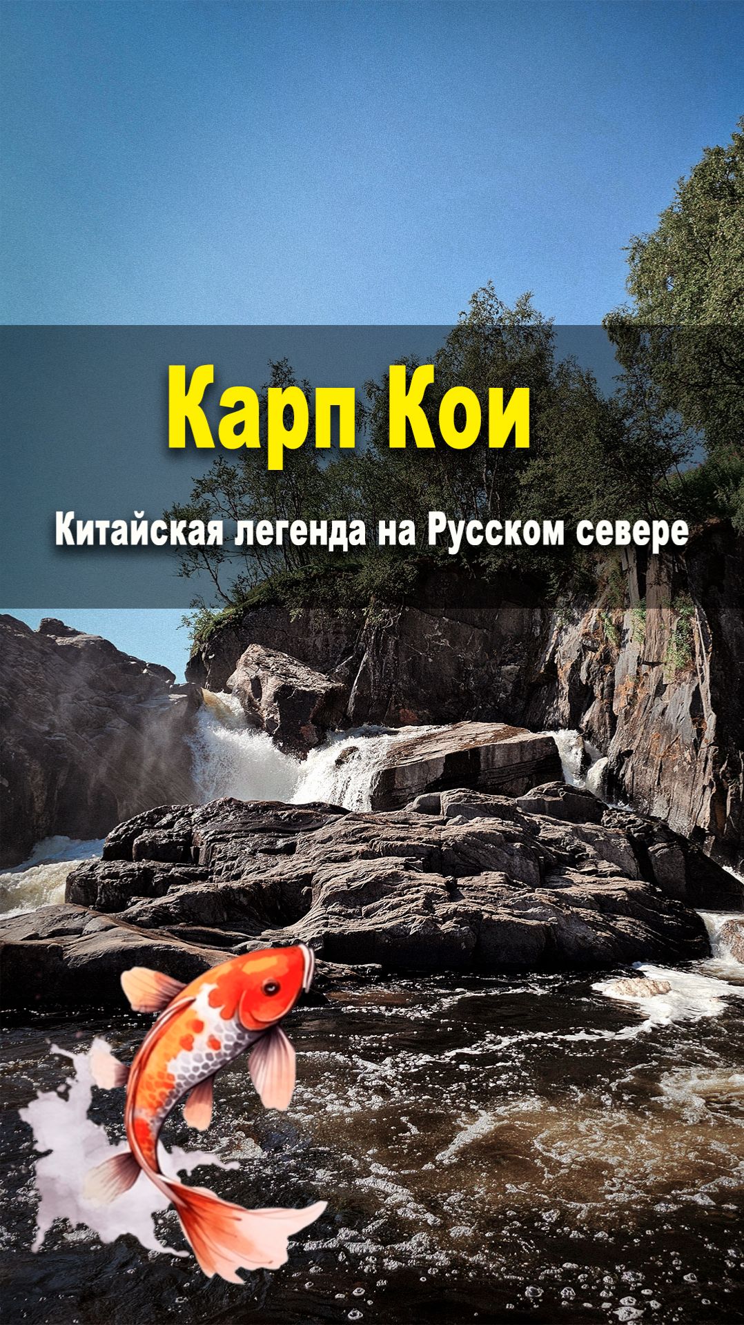 Карп кои и сёмга Титовки - китайская легенда на Русском Севере смотреть онлайн