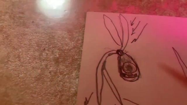 Симбионты жизни. Механизм рождения жизни. Часть третья. смотреть онлайн