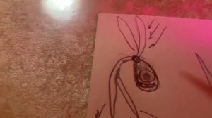 Симбионты жизни. Механизм рождения жизни. Часть третья.