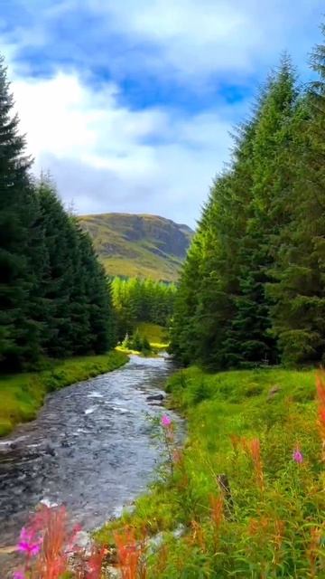 Шотландия — это страна с древней историей и яркими пейзажами