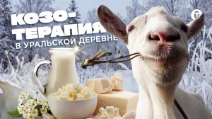 Превратилась в козленка? Агротуризм в Свердловской области: отдых, козы и вкуснейшие сыры