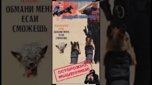 Собрание сочинения 404