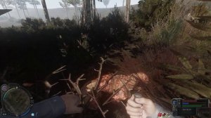 Сталкер народная солянка 2026 - начало игры, а контролёр уже на Кордоне #2