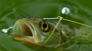 Сорвался_encoded