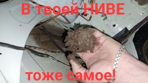 В твоей НИВЕ тоже самое!?
