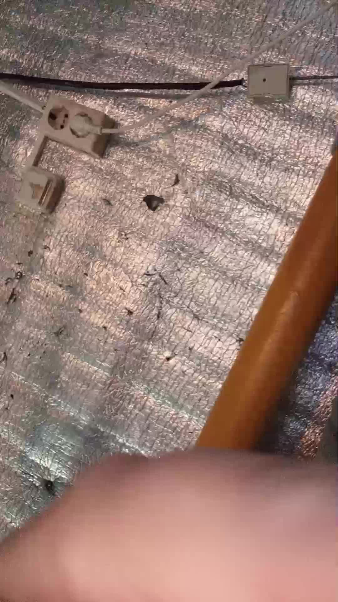 игры в настолки смотреть онлайн