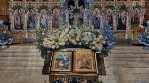 Звезда глядит во тьму...