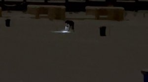 Поимка форели