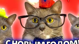 КОТИКИ В ШКОЛЕ ПОЗДРАВЛЯЮТ С НОВЫМ ГОДОМ!