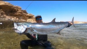 Трофейный улов, морская рыбалка.