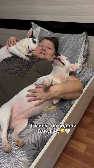 AQPTZaLIf8i_JZn5kOAZcGxosHusav7oQt0cb0up2_S_yhloR2tNHLlv1E_ul_zJ6.mp4