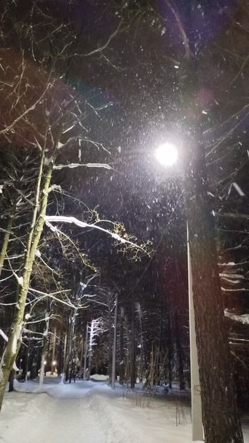 PXL_20260110_070423084