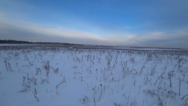 В поисках зайца. Прогулка по старым местам... смотреть онлайн