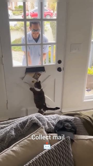 Мохнатые☺️помошники по хозяйству